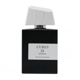 ادو پرفیوم اکسید Cubes XI Intense