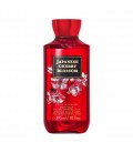 بادی واش بس اند بادی ورکز Japanese Cherry Blossom