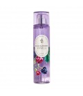 بادی اسپلش بس اند بادی ورکز Black Raspberry Vanilla
