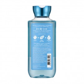 شاور ژل بس اند بادی ورکز Beach Water Coconut