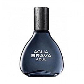 عطر آنتونیو پوییگ مدل Agua Brava Azul EDT